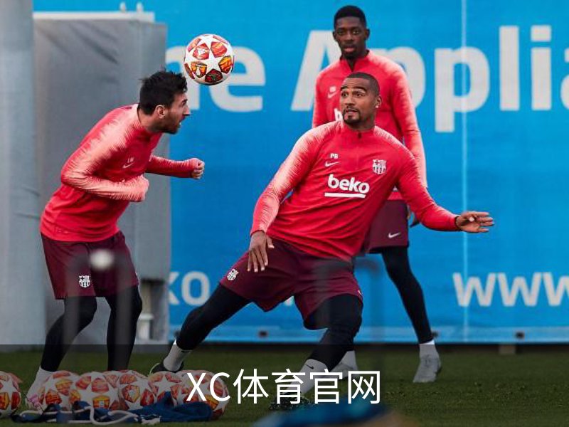 XC体育官网介绍